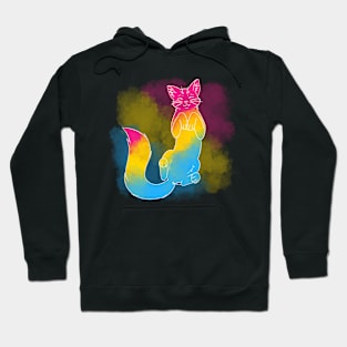 LGBT+ Cats: Pan Hoodie